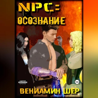 NPC. Осознание - Вениамин Евгеньевич Шер