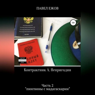 Контрактник А. Непригодин. Часть 2 - Павел Александрович Ежов