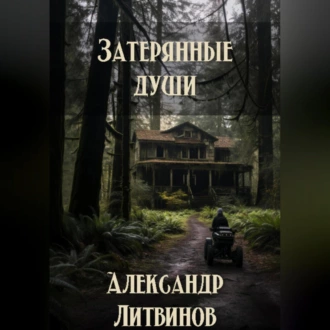 Затерянные души - Александр Литвинов