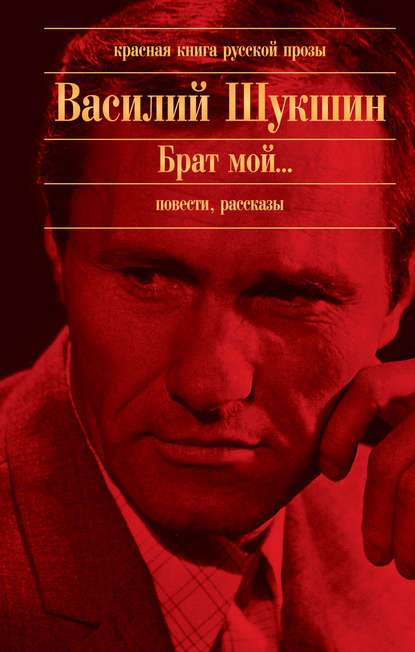 «Чудик» за 2 минуты. Краткое содержание рассказа Шукшина