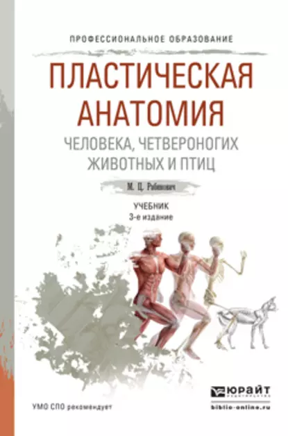 Обложка книги Пластическая анатомия человека, четвероногих животных и птиц 3-е изд., испр. и доп. Учебник для СПО, Михаил Цезаревич Рабинович