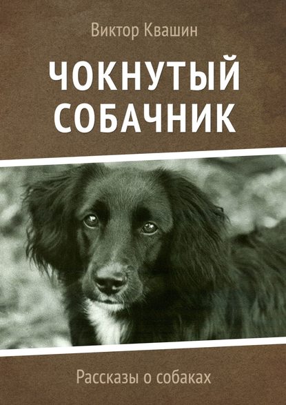 Виктор Квашин — Чокнутый собачник. Рассказы о собаках