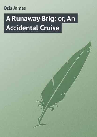 A Runaway Brig: or, An Accidental Cruise - Otis James