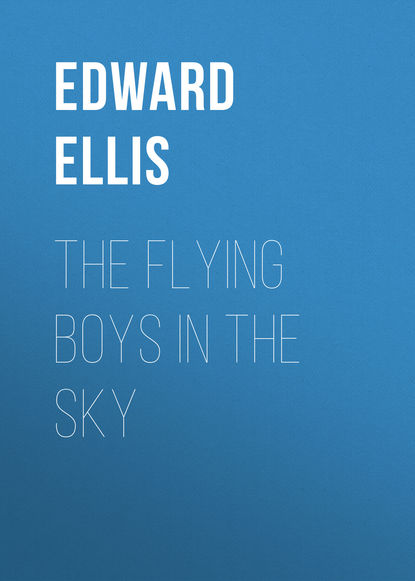 Ellis Edward Sylvester — The Flying Boys in the Sky