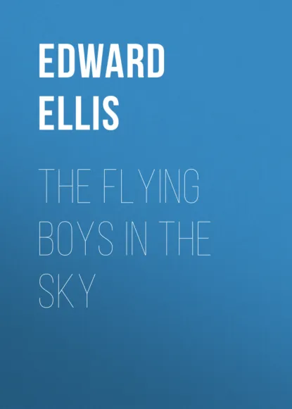 Обложка книги The Flying Boys in the Sky, Ellis Edward Sylvester