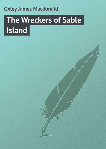 Oxley James Macdonald — The Wreckers of Sable Island