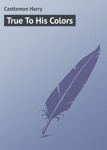 Castlemon Harry — True To His Colors