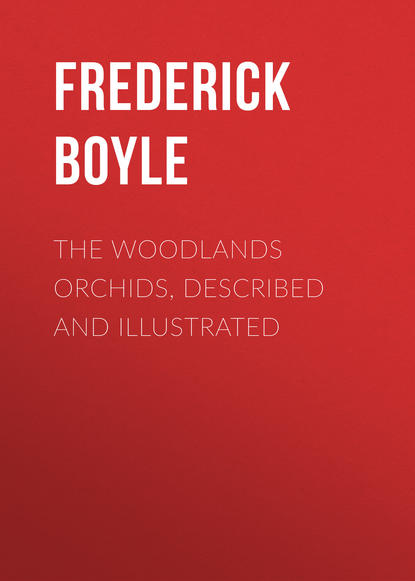 The Woodlands Orchids, Described and Illustrated (Boyle Frederick). 