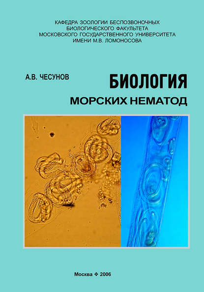 А. В. Чесунов — Биология морских нематод
