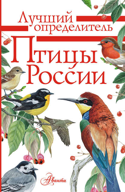 П. М. Волцит - Птицы России