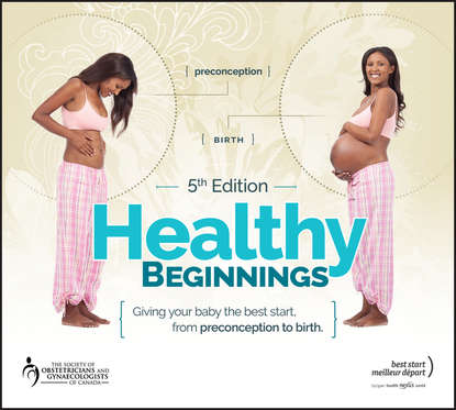Jennifer  Blake - Healthy Beginnings. Giving Your Baby the Best Start, from Preconception to Birth