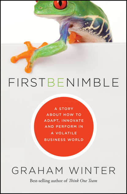 Graham  Winter - First Be Nimble. A Story About How to Adapt, Innovate and Perform in a Volatile Business World