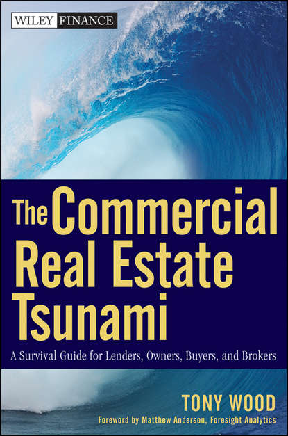 Tony  Wood - The Commercial Real Estate Tsunami. A Survival Guide for Lenders, Owners, Buyers, and Brokers