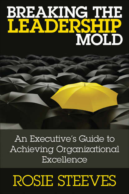 Breaking the Leadership Mold. An Executive's Guide to Achieving Organizational Excellence (Rosie  Steeves). 