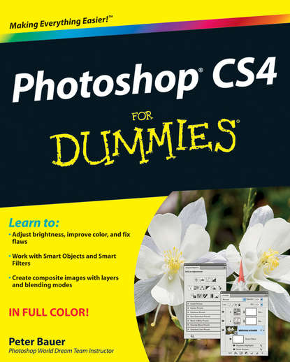 Peter  Bauer - Photoshop CS4 For Dummies