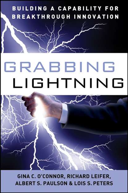 Grabbing Lightning. Building a Capability for Breakthrough Innovation (G. O'Connor C.). 