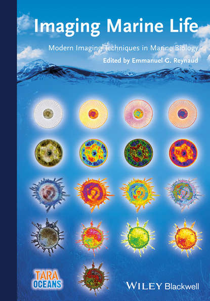 Emmanuel Reynaud G. — Imaging Marine Life. Macrophotography and Microscopy Approaches for Marine Biology
