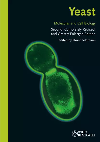 Обложка книги Yeast. Molecular and Cell Biology, Horst  Feldmann