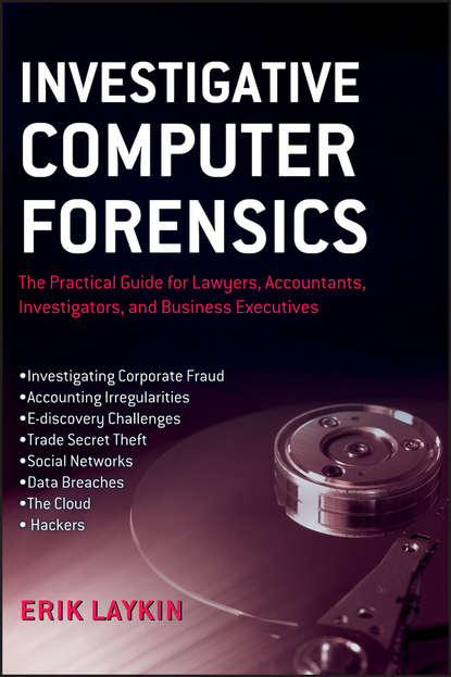 Erik  Laykin - Investigative Computer Forensics. The Practical Guide for Lawyers, Accountants, Investigators, and Business Executives