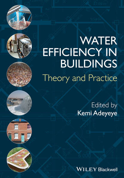 Water Efficiency in Buildings. Theory and Practice - Kemi  Adeyeye