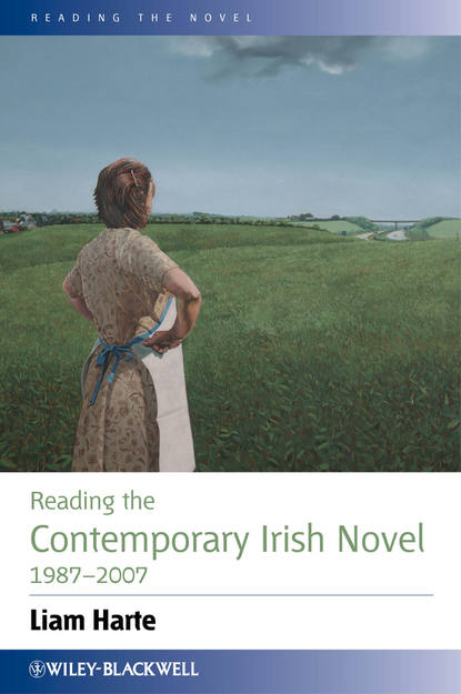Liam  Harte - Reading the Contemporary Irish Novel 1987-2007