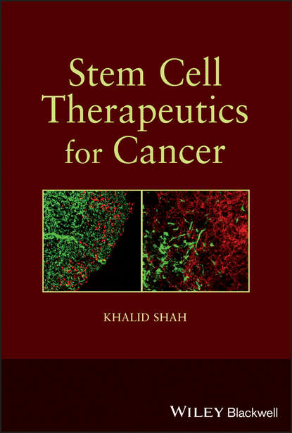 Stem Cell Therapeutics for Cancer (Khalid  Shah). 