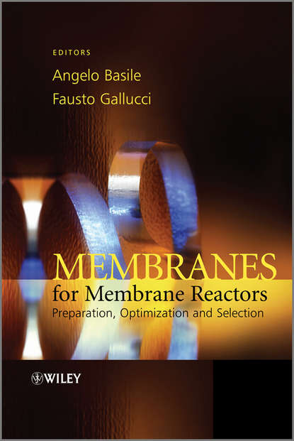 Membranes for Membrane Reactors. Preparation, Optimization and Selection