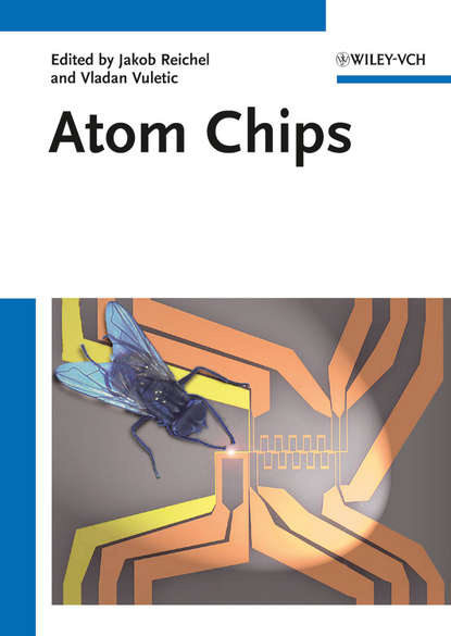 Atom Chips (Reichel Jakob). 