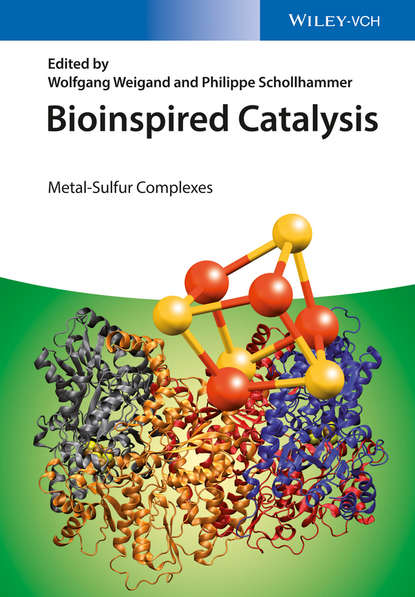 Bioinspired Catalysis. Metal-Sulfur Complexes (Schollhammer Philippe). 