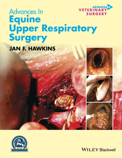 Группа авторов - Advances in Equine Upper Respiratory Surgery