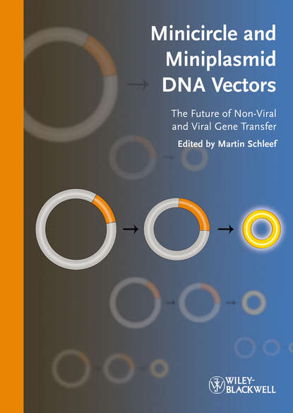 Группа авторов - Minicircle and Miniplasmid DNA Vectors