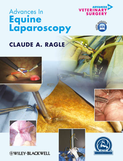 Группа авторов - Advances in Equine Laparoscopy