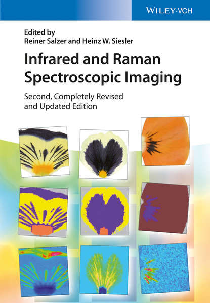 Группа авторов - Infrared and Raman Spectroscopic Imaging