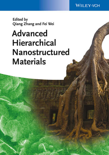 Advanced Hierarchical Nanostructured Materials - Группа авторов
