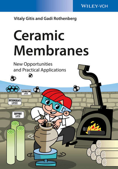 Vitaly Gitis - Ceramic Membranes