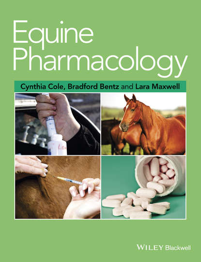 Группа авторов - Equine Pharmacology