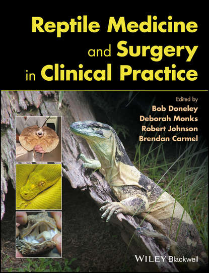 Группа авторов - Reptile Medicine and Surgery in Clinical Practice