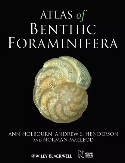 Обложка книги Atlas of Benthic Foraminifera, Norman Macleod