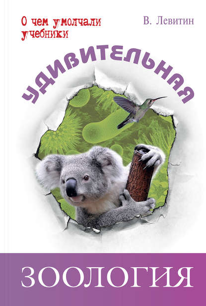 

Удивительная зоология