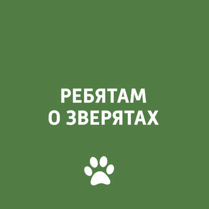 

Пауки