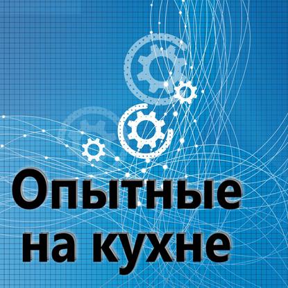 

Опытные на кухне №019