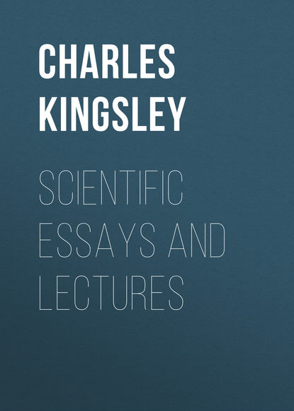 Scientific Essays and Lectures (Charles Kingsley). 