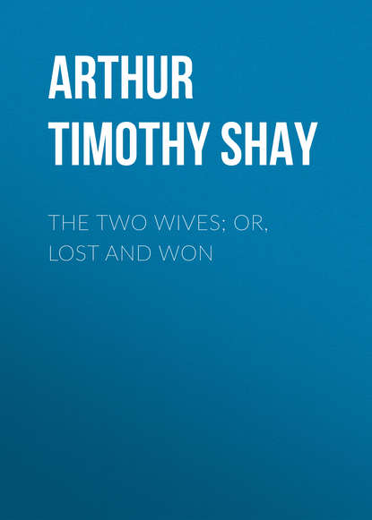 The Two Wives; Or, Lost and Won (Arthur Timothy Shay). 