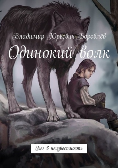 Владимир Боровлёв — Одинокий волк. Бег в неизвестность