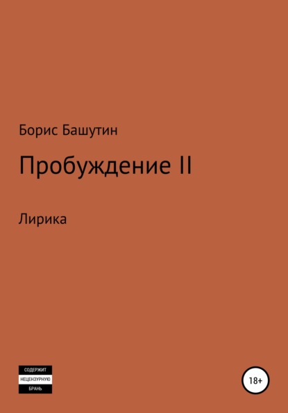 Борис Валерьевич Башутин — Пробуждение II