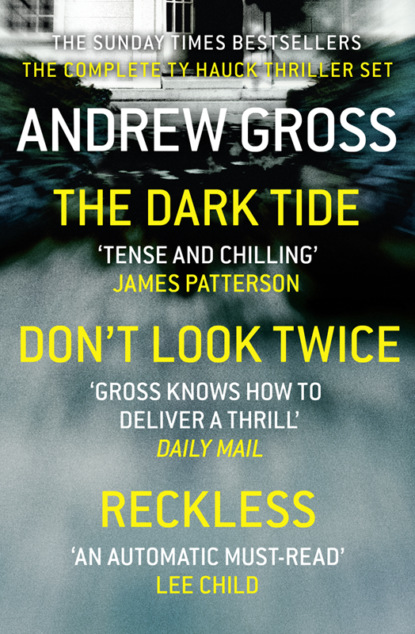 Andrew Gross — Andrew Gross 3-Book Thriller Collection 1: The Dark Tide, Don’t Look Twice, Relentless