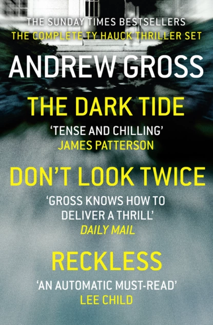 Обложка книги Andrew Gross 3-Book Thriller Collection 1: The Dark Tide, Don’t Look Twice, Relentless, Andrew  Gross