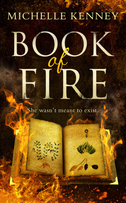 Michelle  Kenney - Book of Fire: a debut fantasy perfect for fans of The Hunger Games, Divergent and The Maze Runner