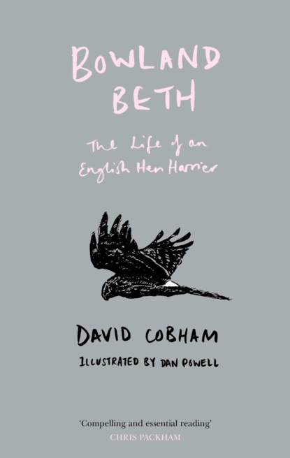David  Cobham - Bowland Beth: The Life of an English Hen Harrier