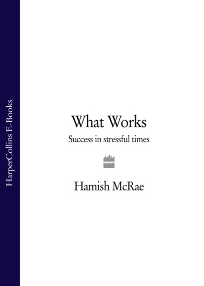 Hamish  McRae - What Works: Success in Stressful Times